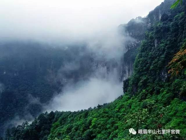 这个地方又双叒叕在全国火了！