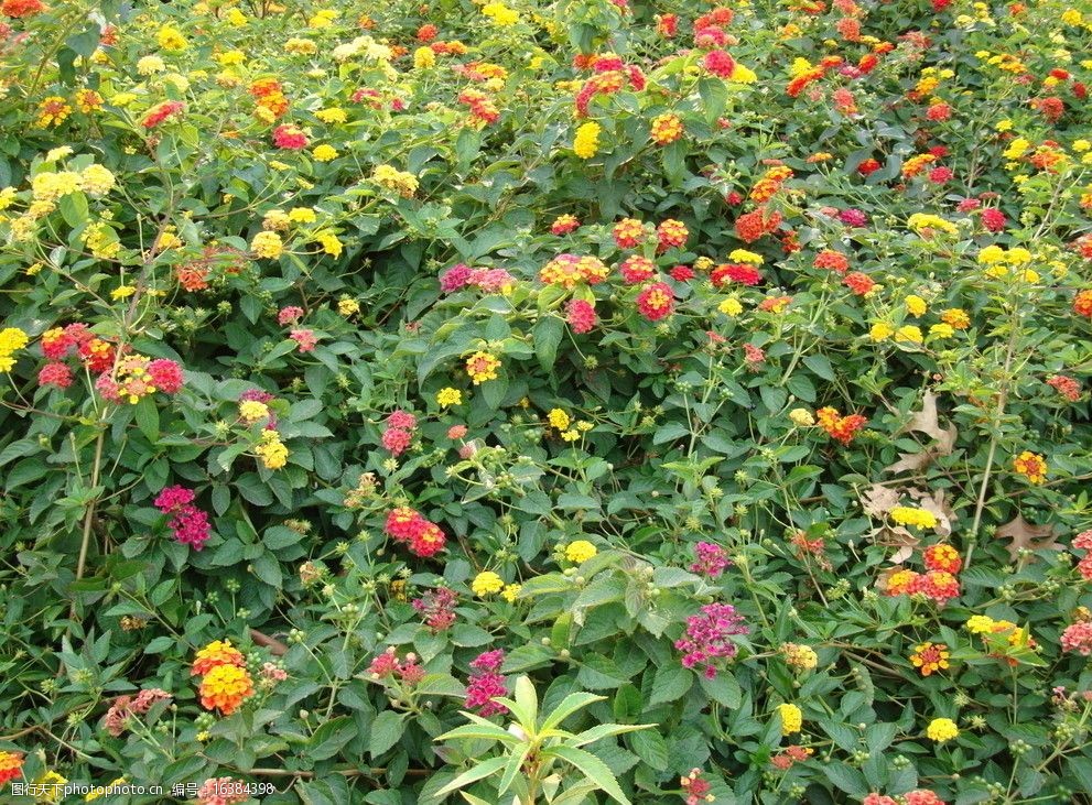 社会新闻滚动新闻-中国网-梳理天下